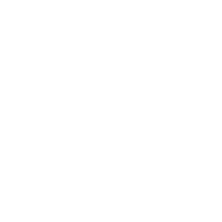 Logo_BlueStone-5-invers